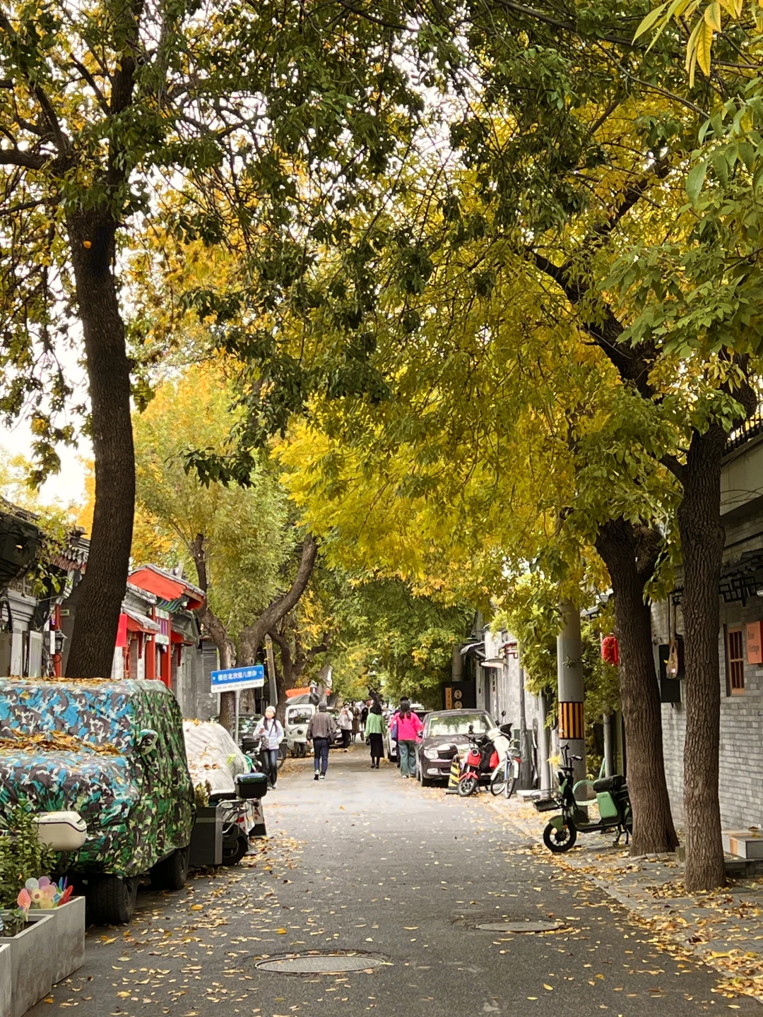 10.17实况|报‼️北锣鼓巷已经美疯了