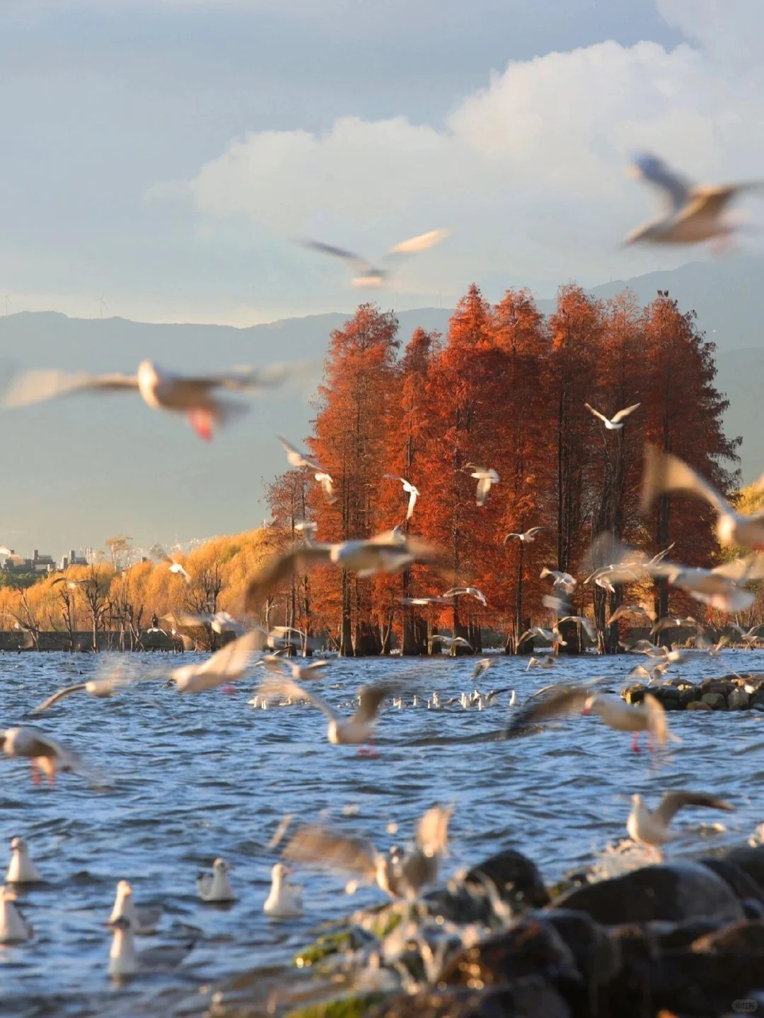 2025赏秋早规划❗9~11月国内绝美旅游地推荐