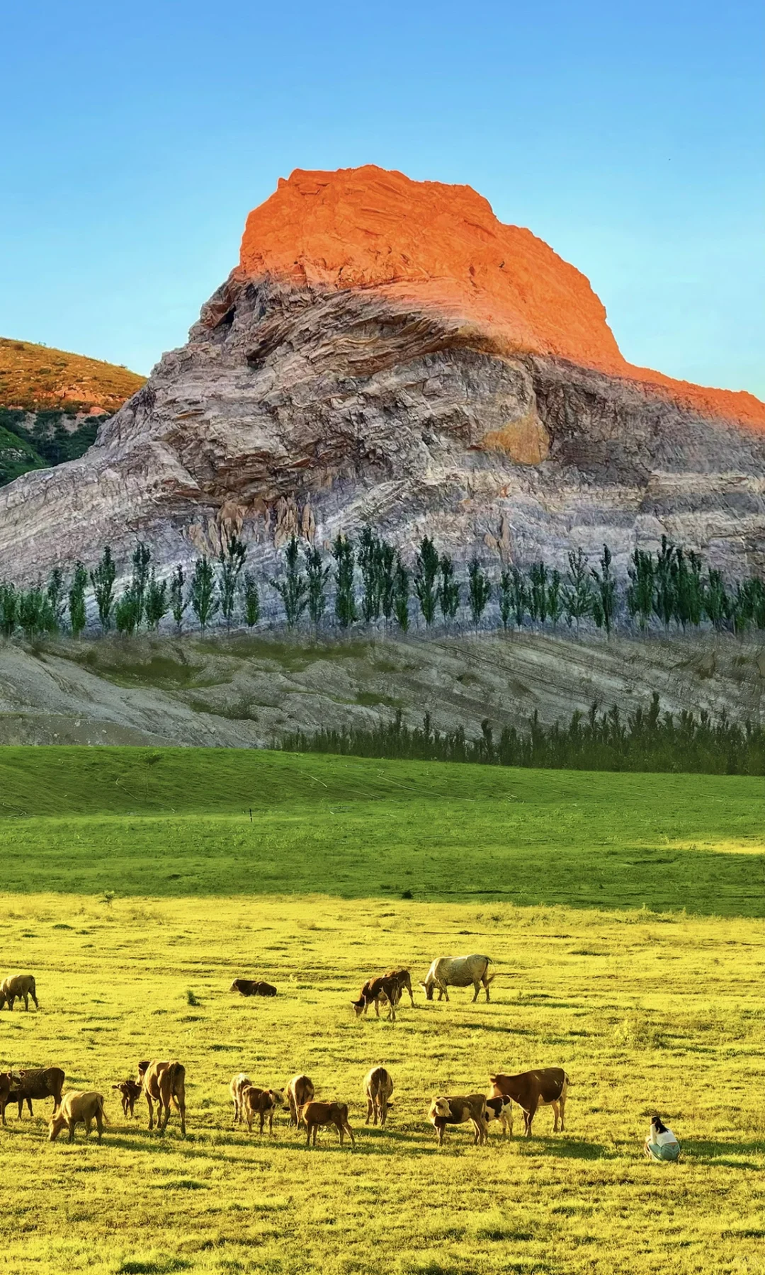 北京1h🚗的“日照金山”太美了❗️人少景美快冲