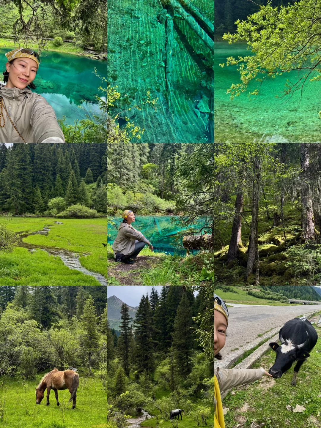 松潘｜进来吸氧💚💚💚