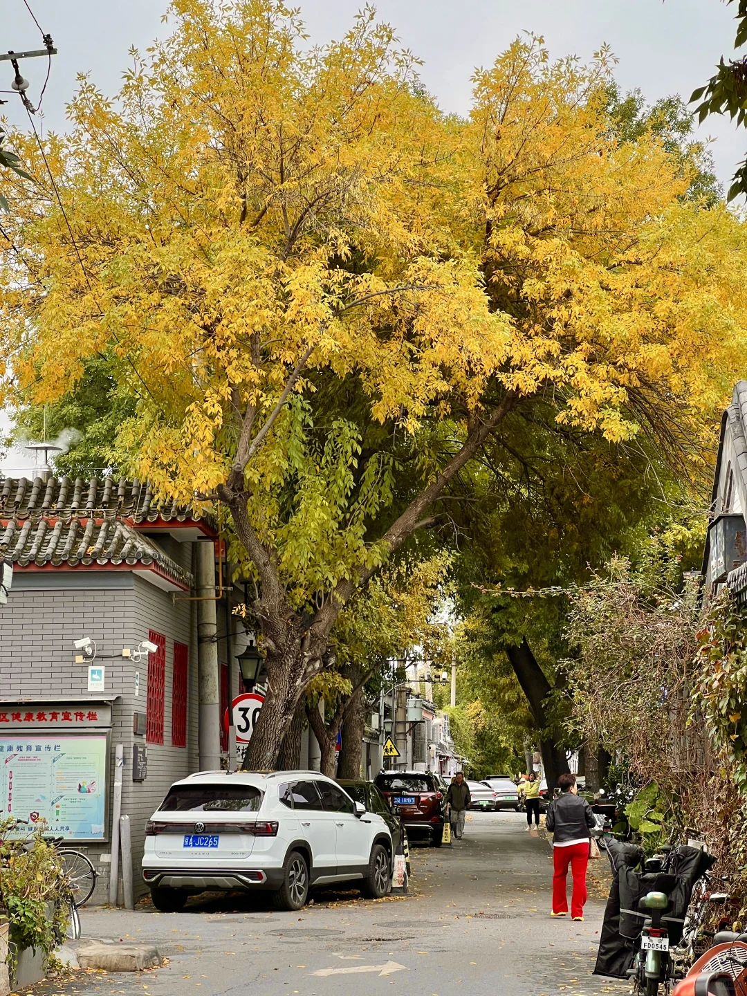 10.17实况|报‼️北锣鼓巷已经美疯了