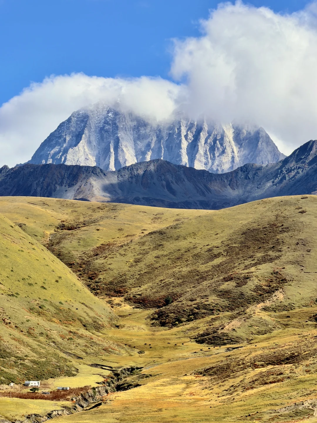 2025.10.9川西秋天,一辈子怀念的地方🍂
