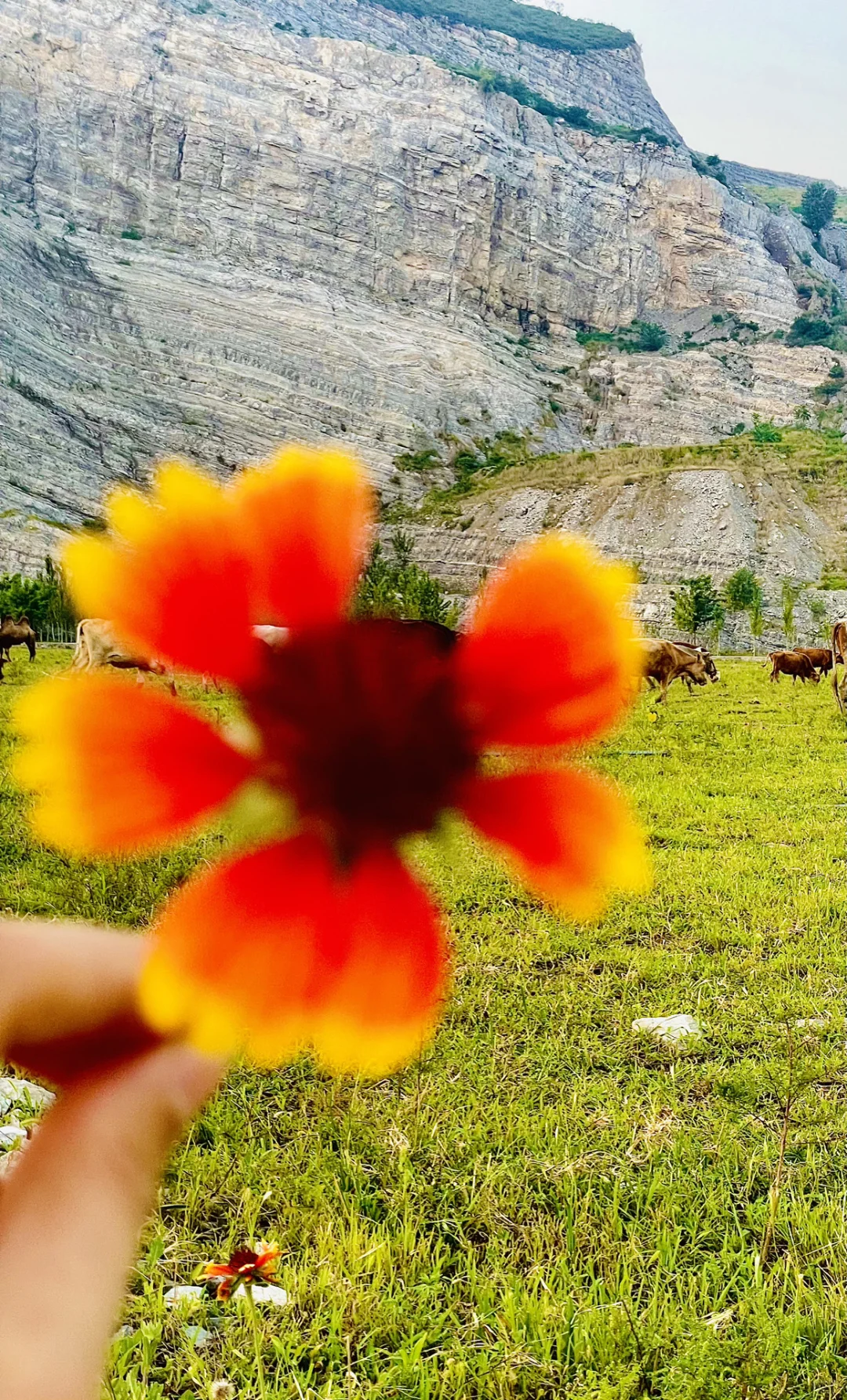 北京1h🚗的“日照金山”太美了❗️人少景美快冲