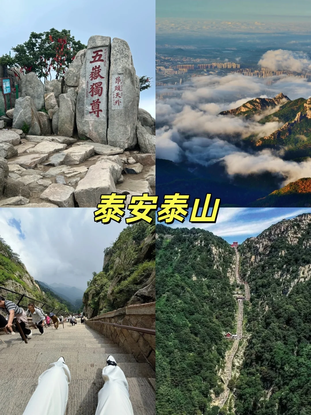 10月山东刚回！这篇把坑踩完+秋景封神