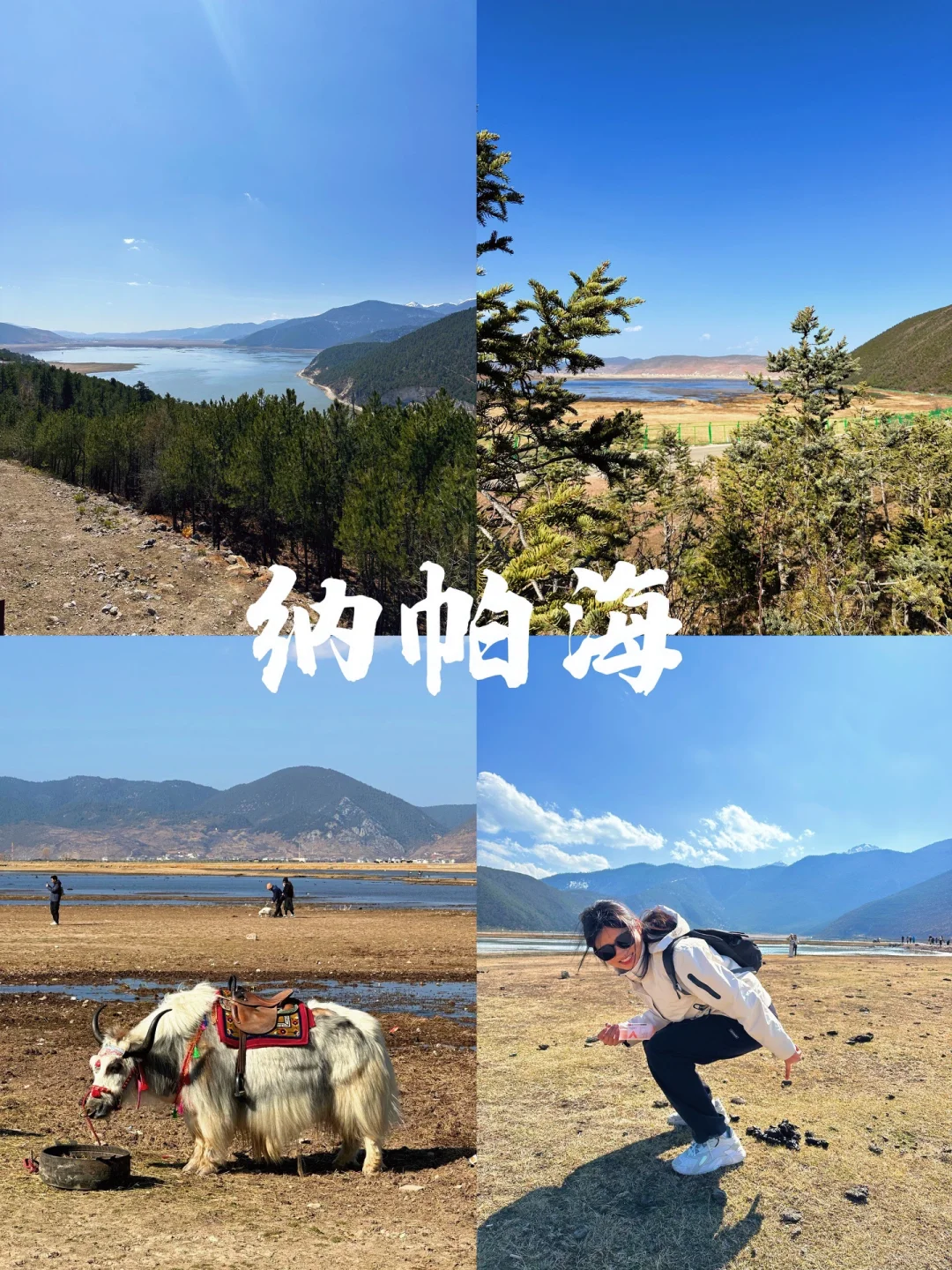 香格里拉｜3天2晚旅行攻略