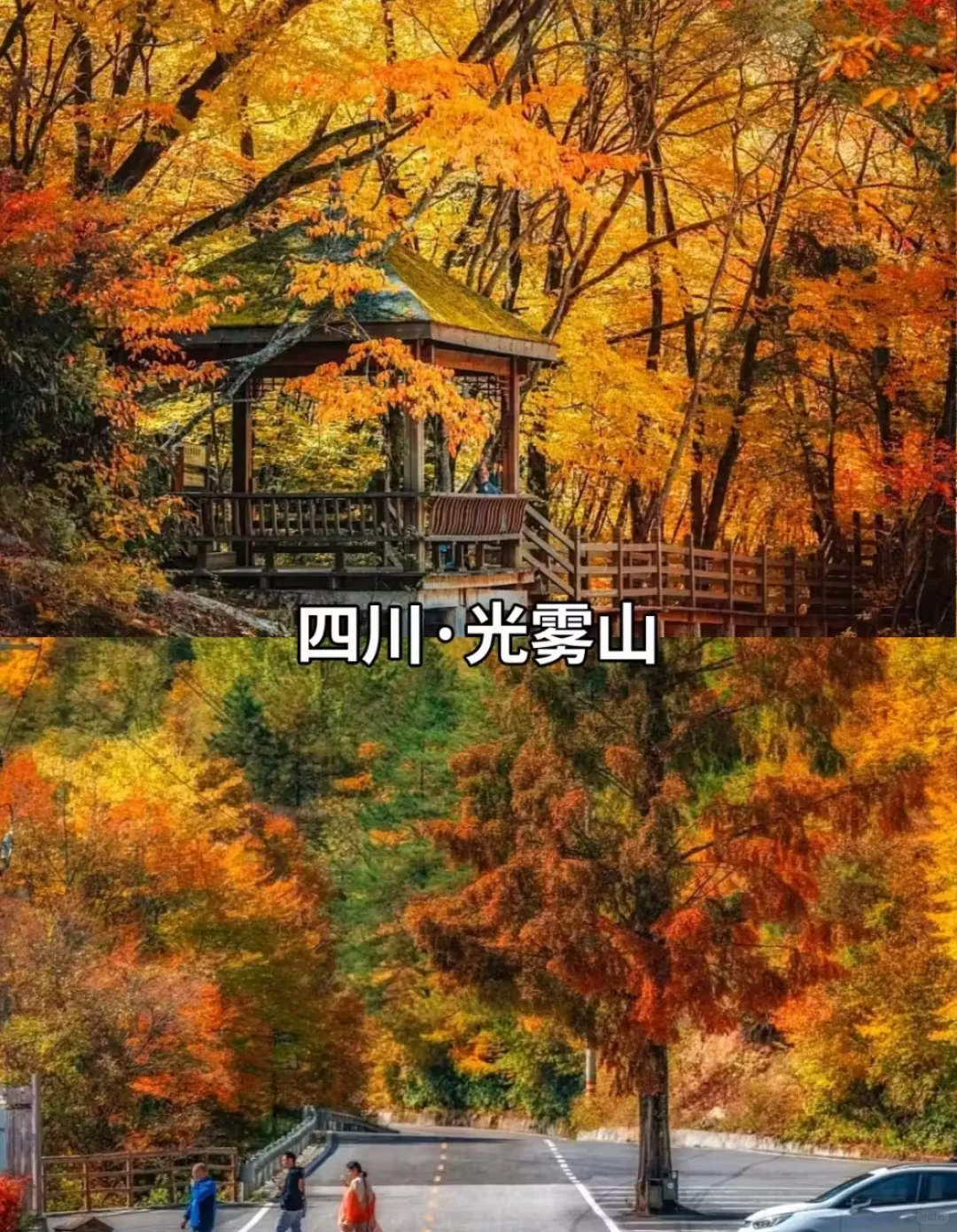 9-11月必打卡 豪国内10大封神赏秋地！