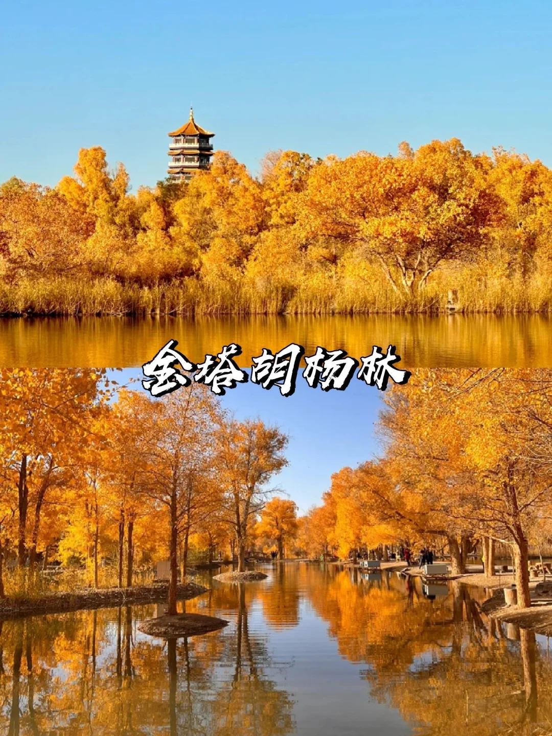 2025赏秋早规划❗9~11月国内绝美旅游地推荐