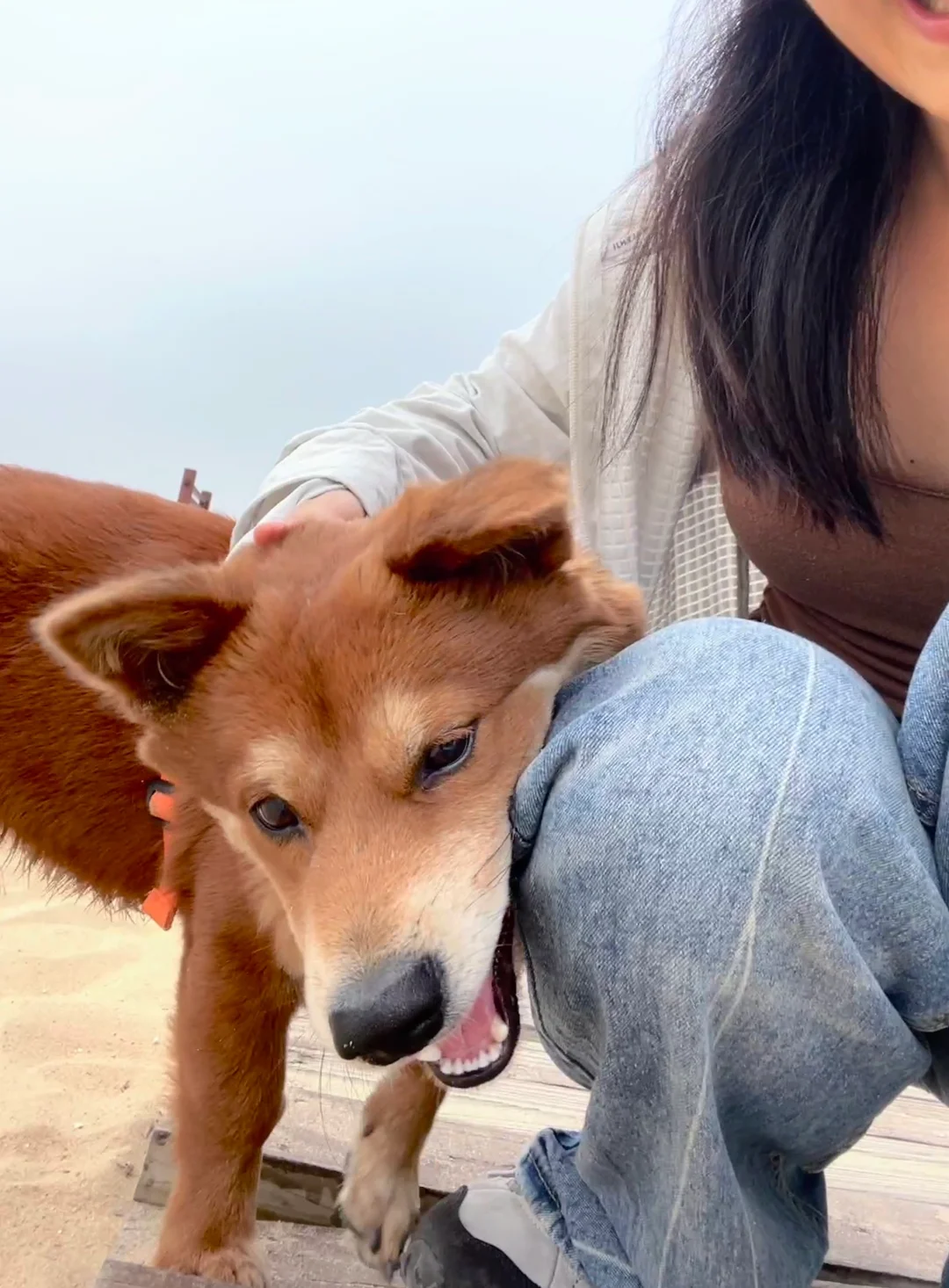 珠海旅游| i人大学生寒假三天800元超详细❣️