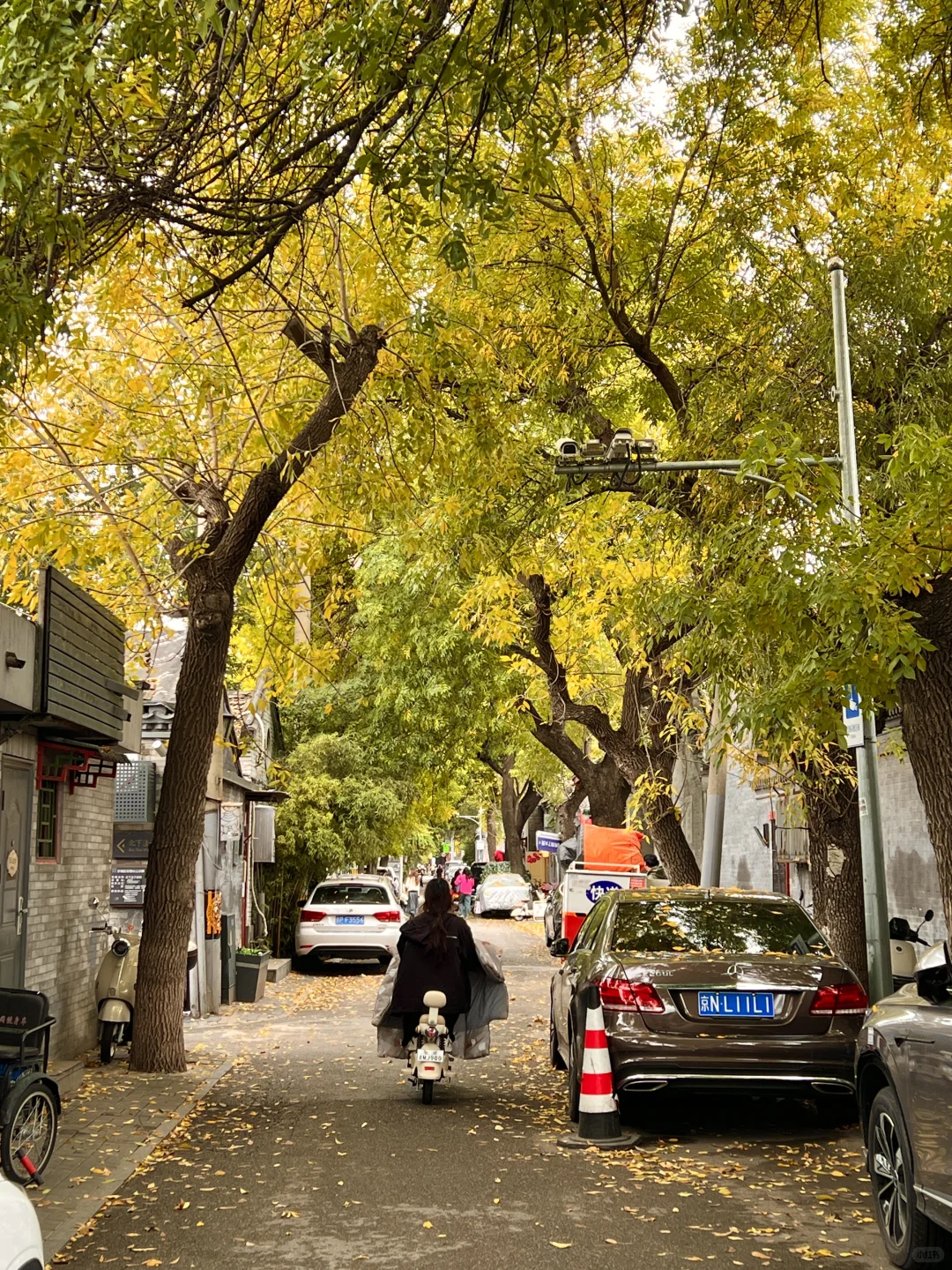 10.17实况|报‼️北锣鼓巷已经美疯了