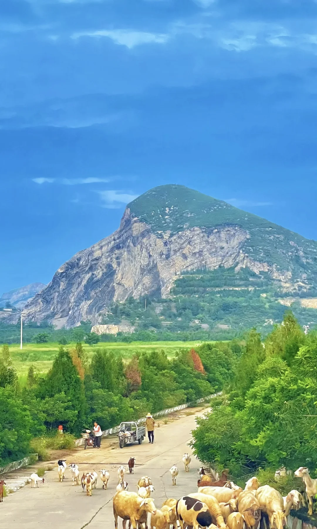 北京1h🚗的“日照金山”太美了❗️人少景美快冲