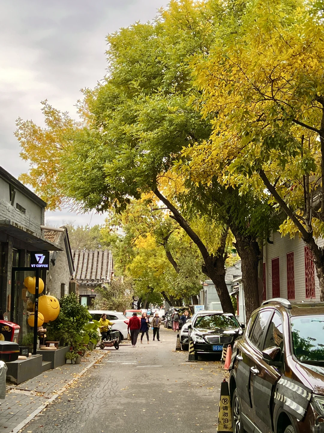 10.17实况|报‼️北锣鼓巷已经美疯了