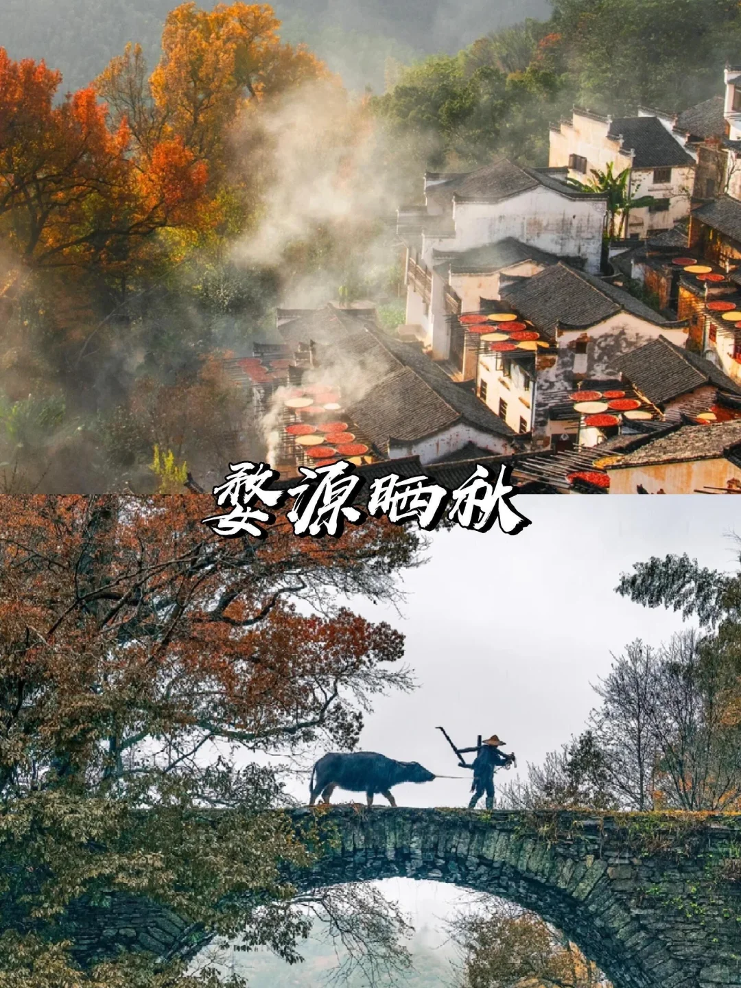 2025赏秋早规划❗9~11月国内绝美旅游地推荐