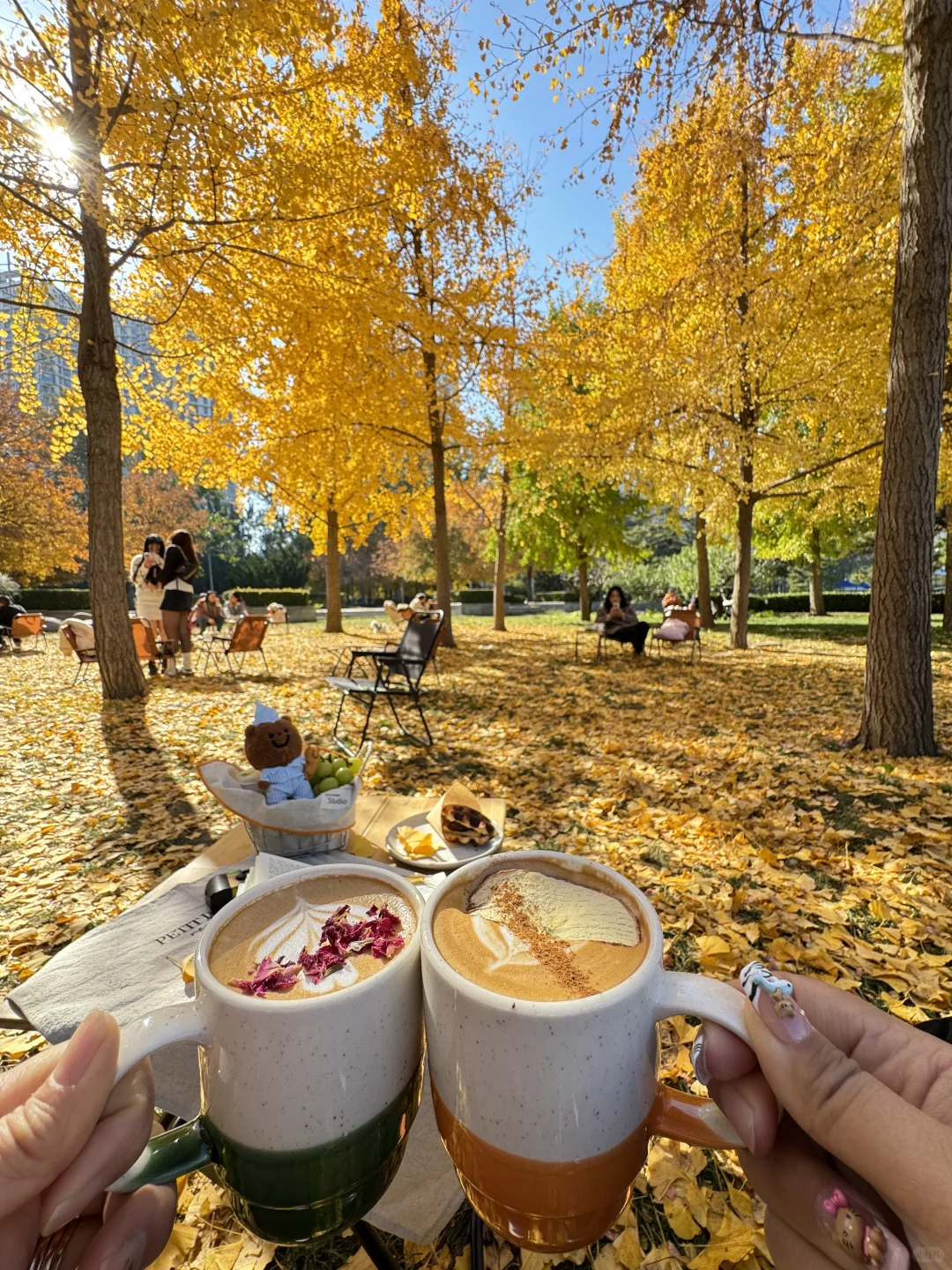 北平秋天无平替….🍂🍂