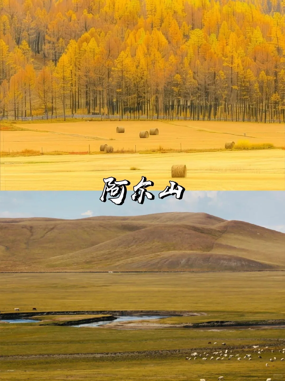 2025赏秋早规划❗9~11月国内绝美旅游地推荐