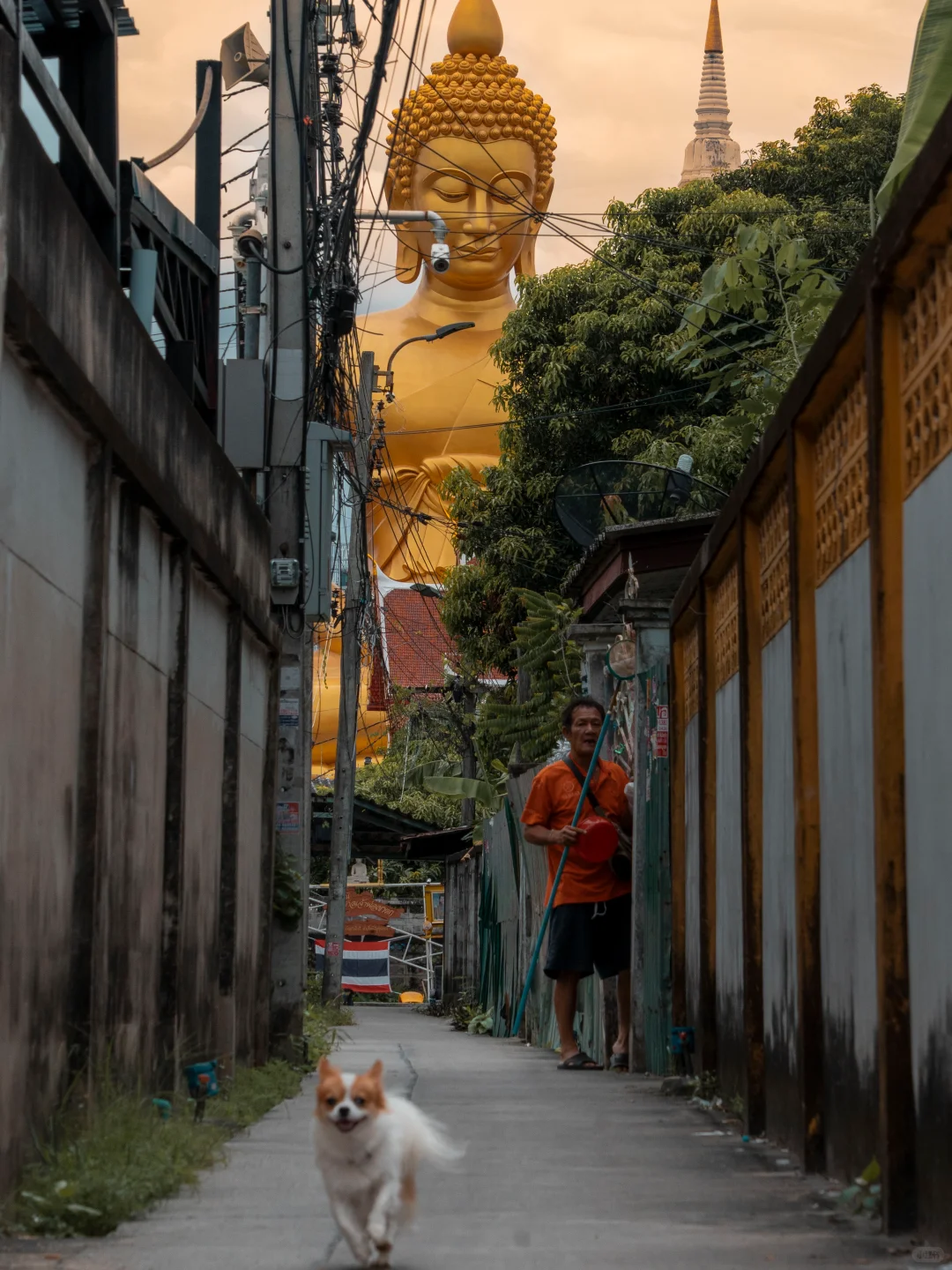 曼谷暴走3万步‼️这8张大佛机位发朋友圈问爆