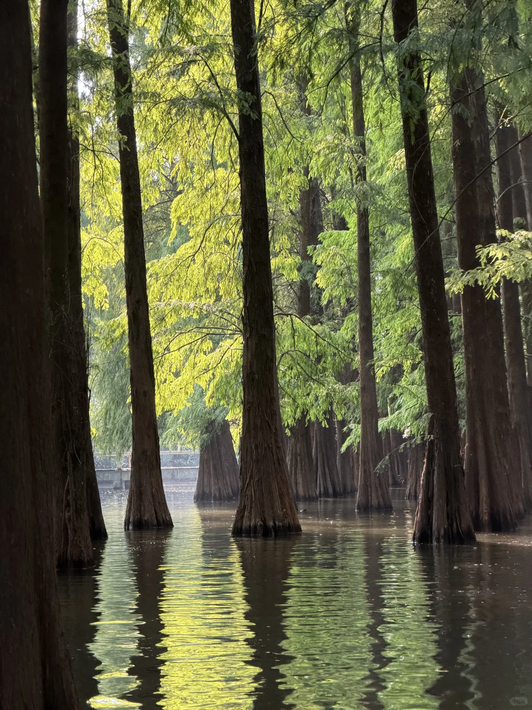 肇庆·七星岩·鼎湖山