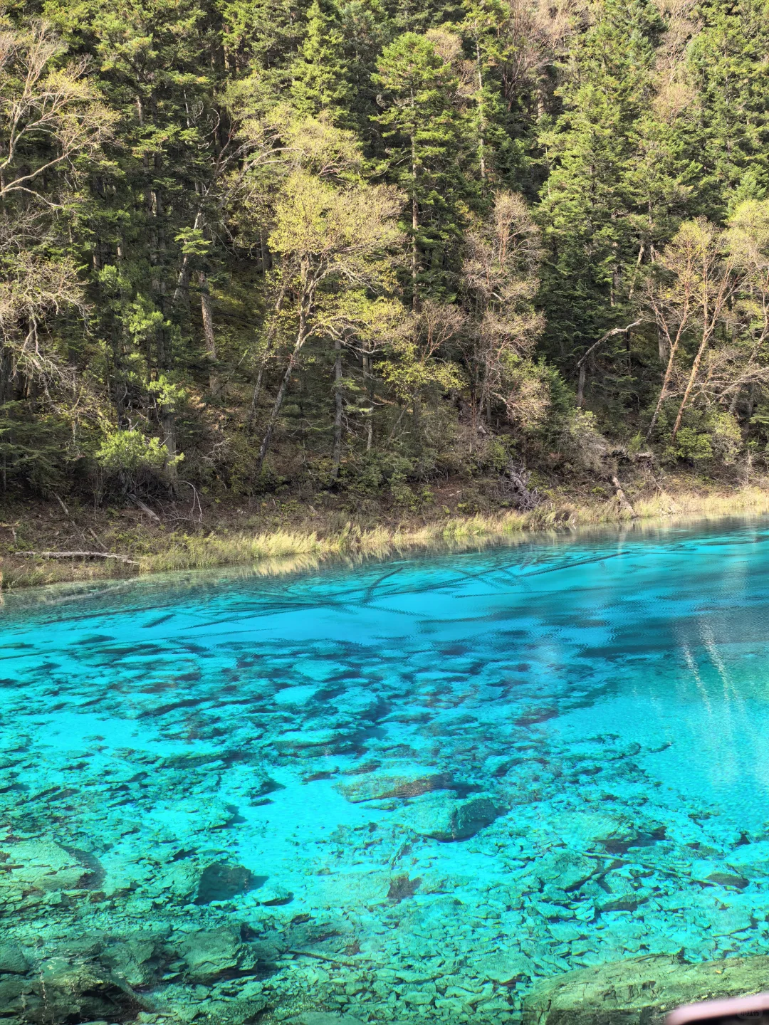 人间仙境名不虚传