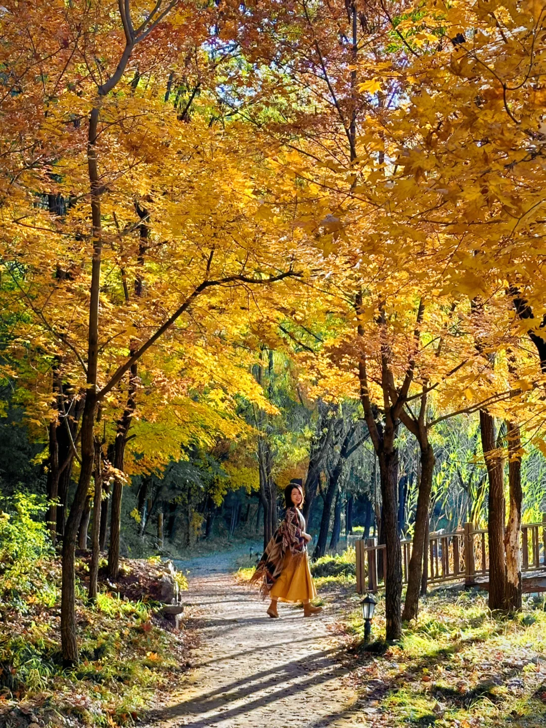 北京这❾个秋游地🍁真的祛魅不了一点‼️