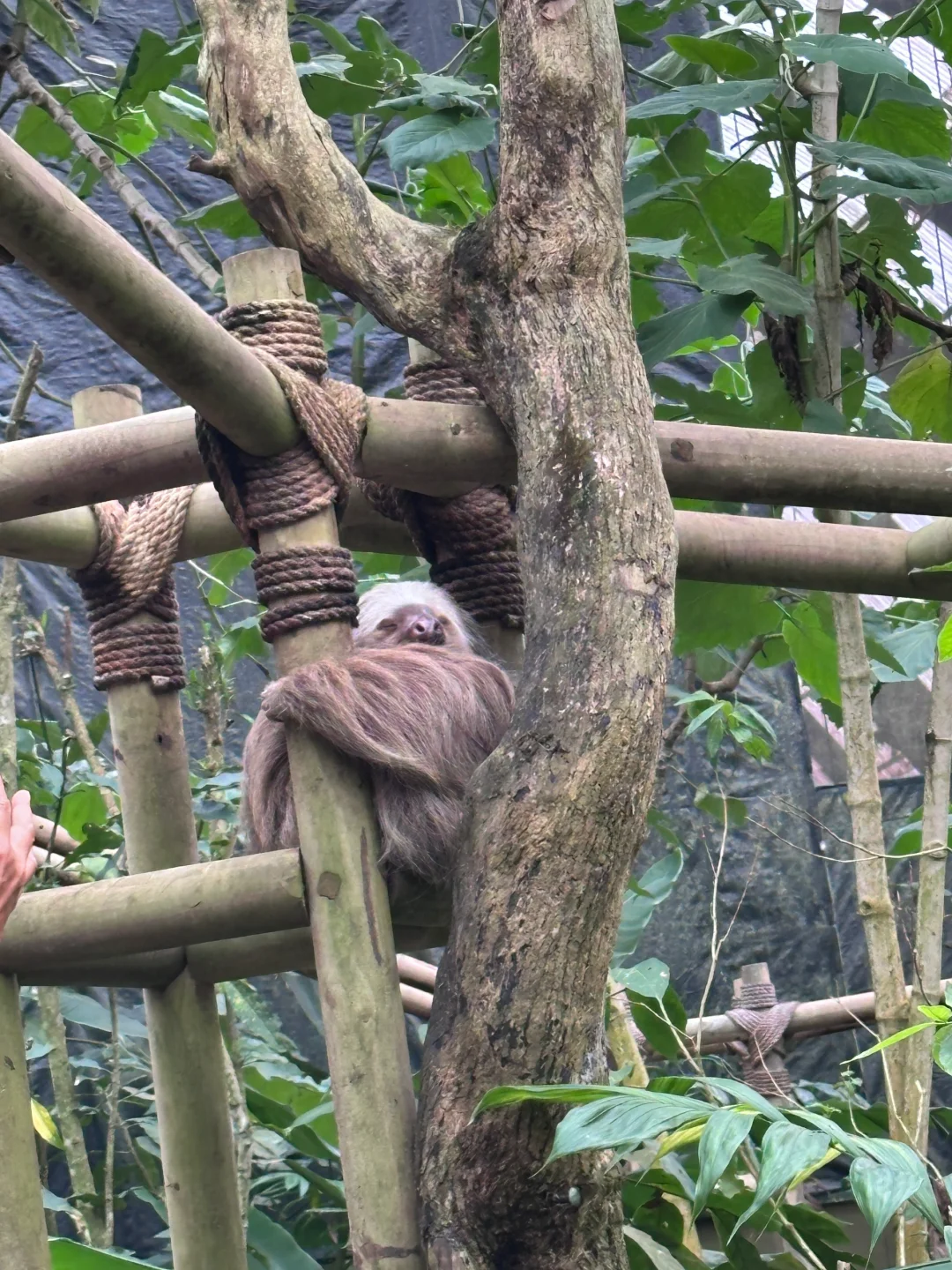 哥斯达黎加🇨🇷七天六晚攻略~