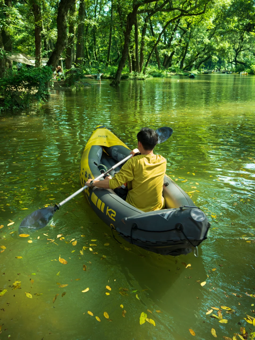 河南真正的绿野仙踪🌲好治愈