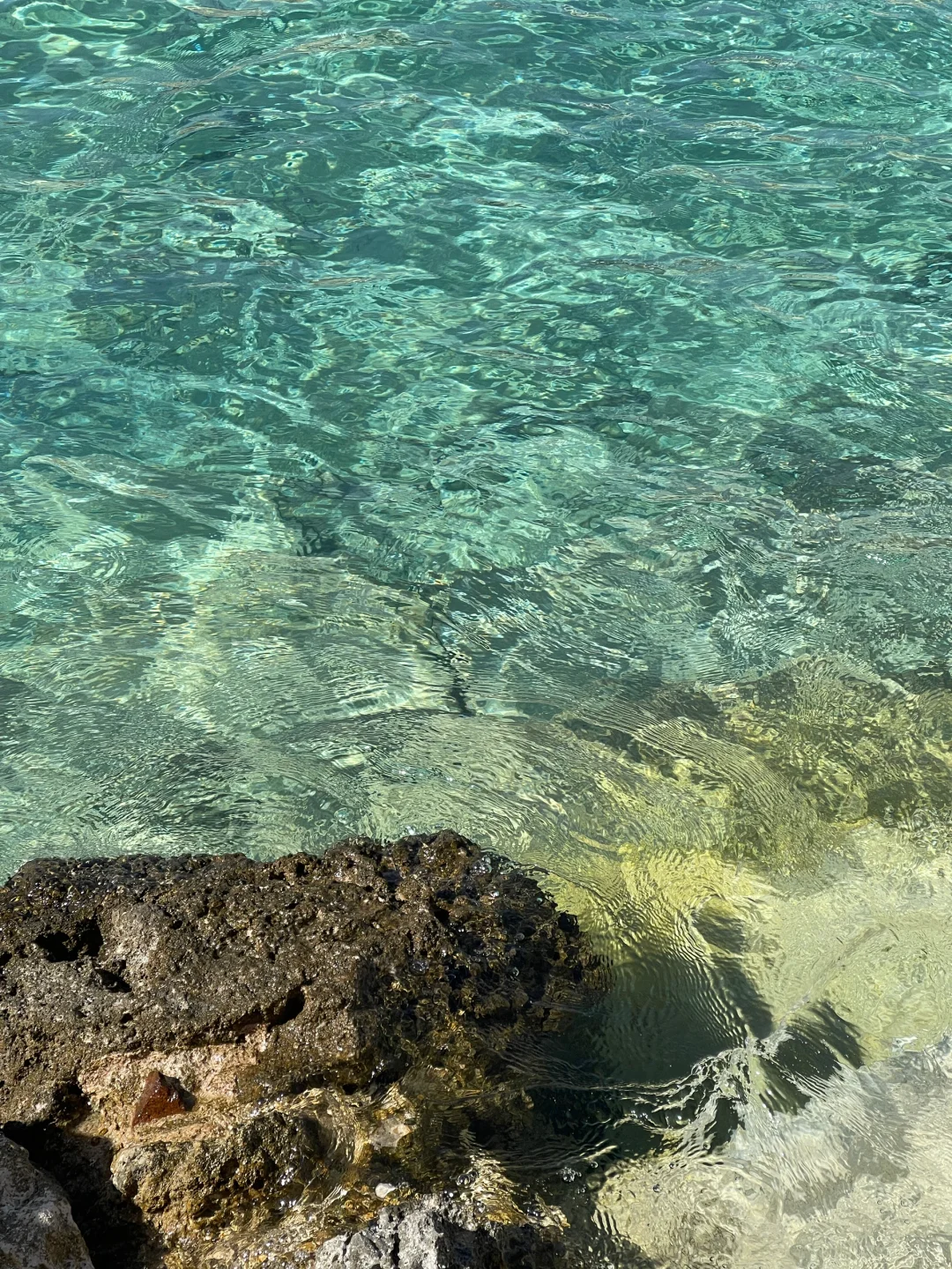 埃及live🇪🇬我宣布赫尔格达的海没有对手！