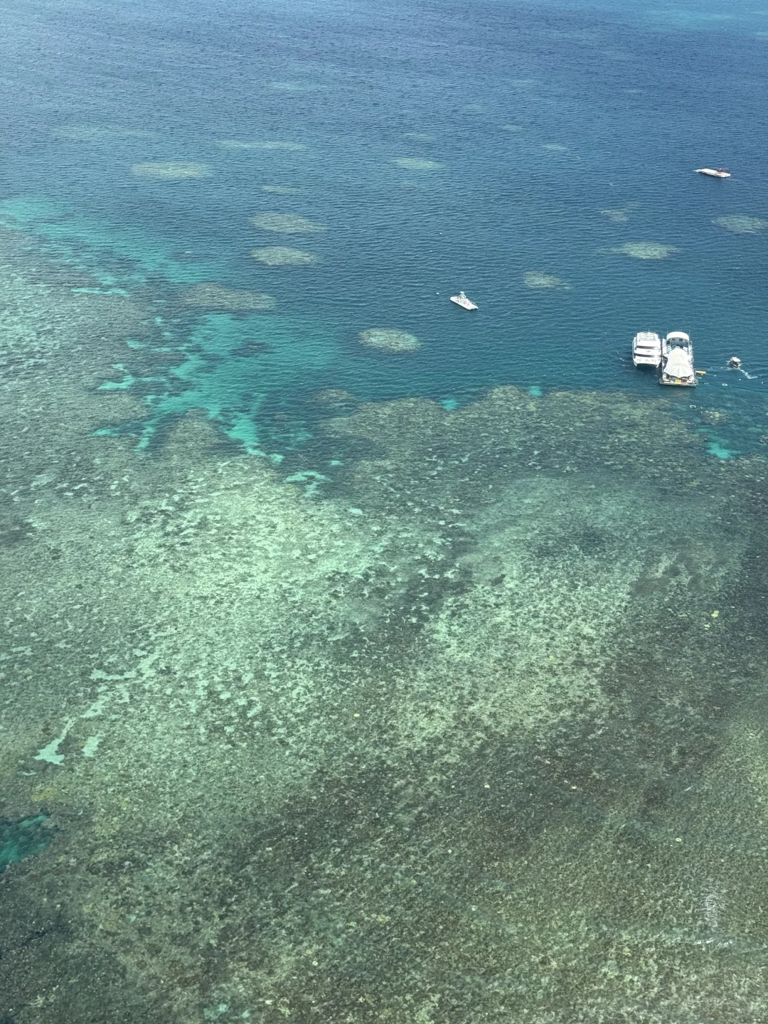 世界自然遗产大堡礁✅