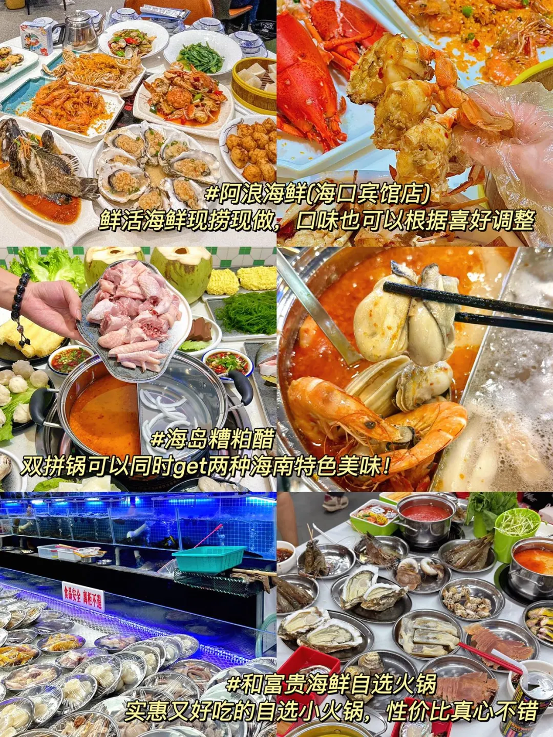 为什么我去海口旅游之前没有刷到这篇😅