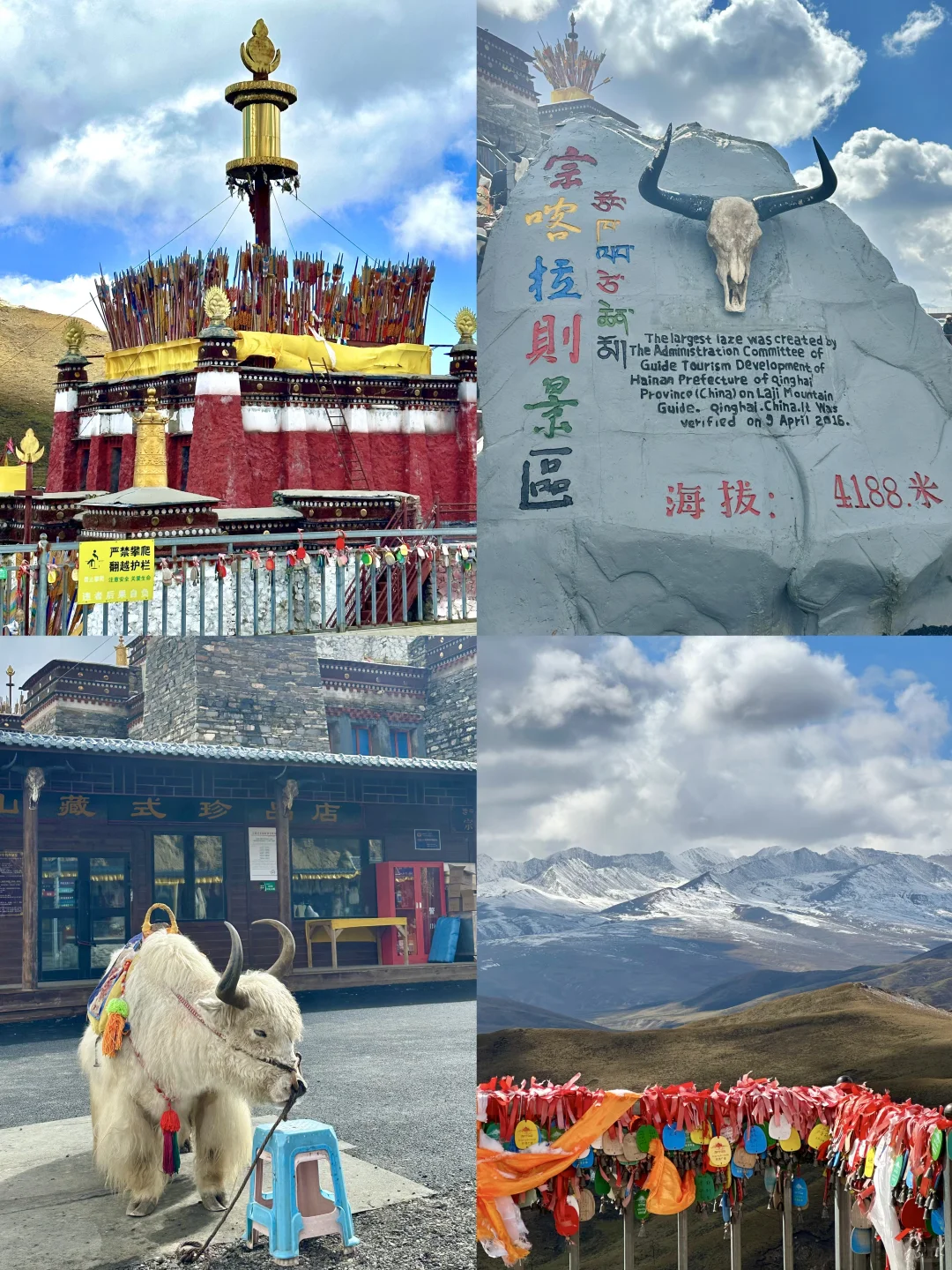 中转西宁2天🚞｜一人打卡8️⃣个景点｜亲测‼️