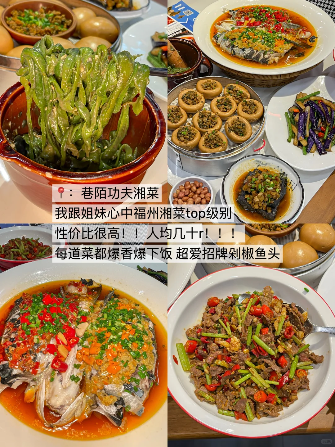 福州已回！！我的建议是。。。