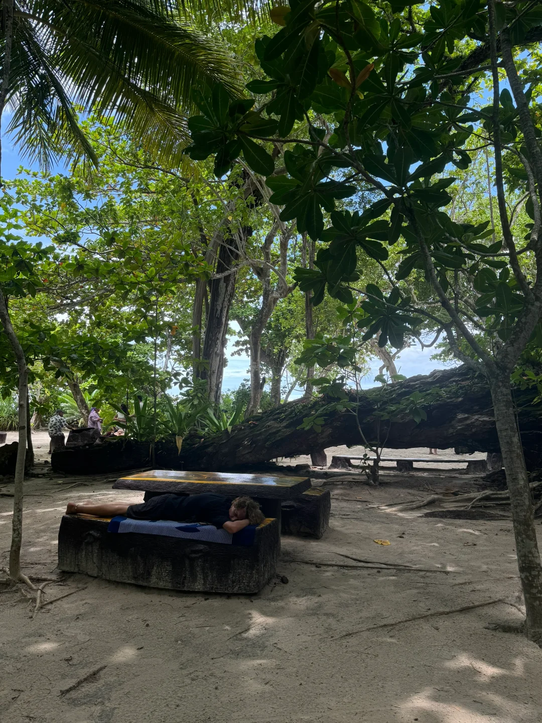 普吉一个松弛感拉满的地方🫧🐬🏝️