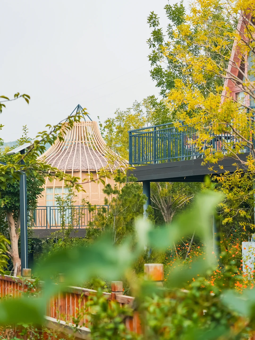 【石家庄｜秋日理想露营地🍂】