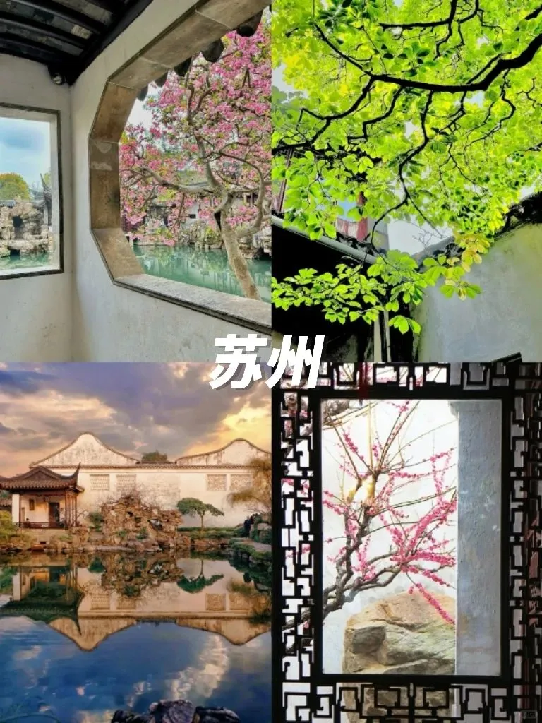 4-6月江浙沪九大团建地合集新鲜出炉👀