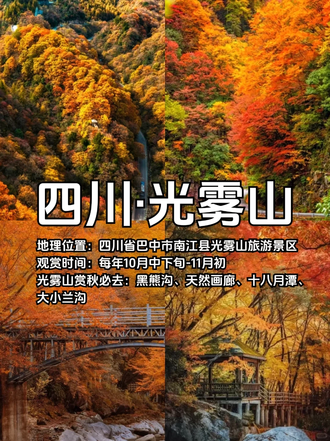 适合10、11月去赏秋的10个城市合集🍁