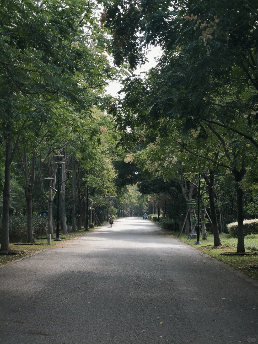 石湖真的是一个巨大的能量场