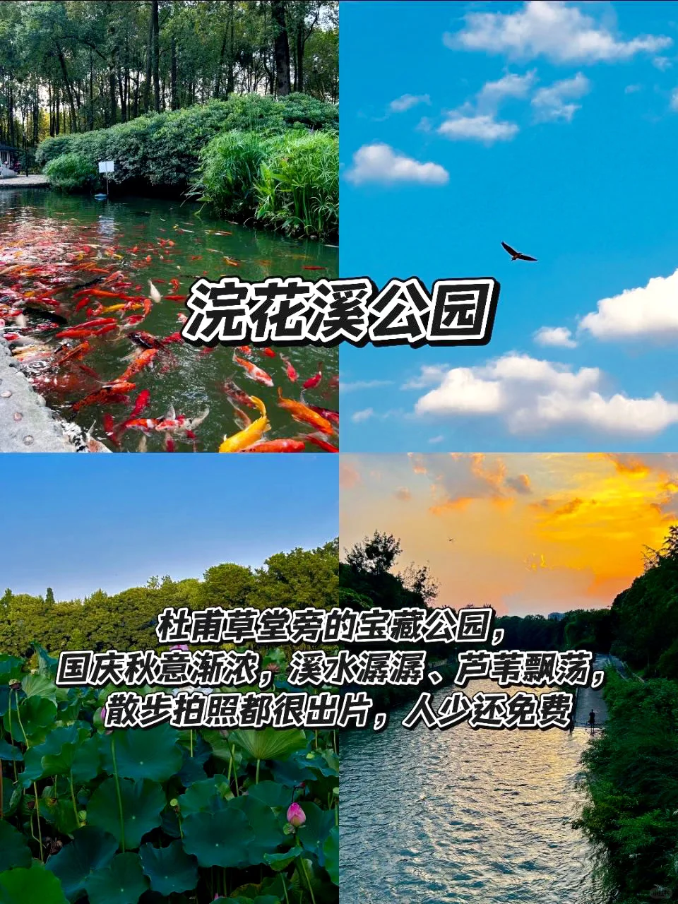 直接冲成都！玩的就是松弛感