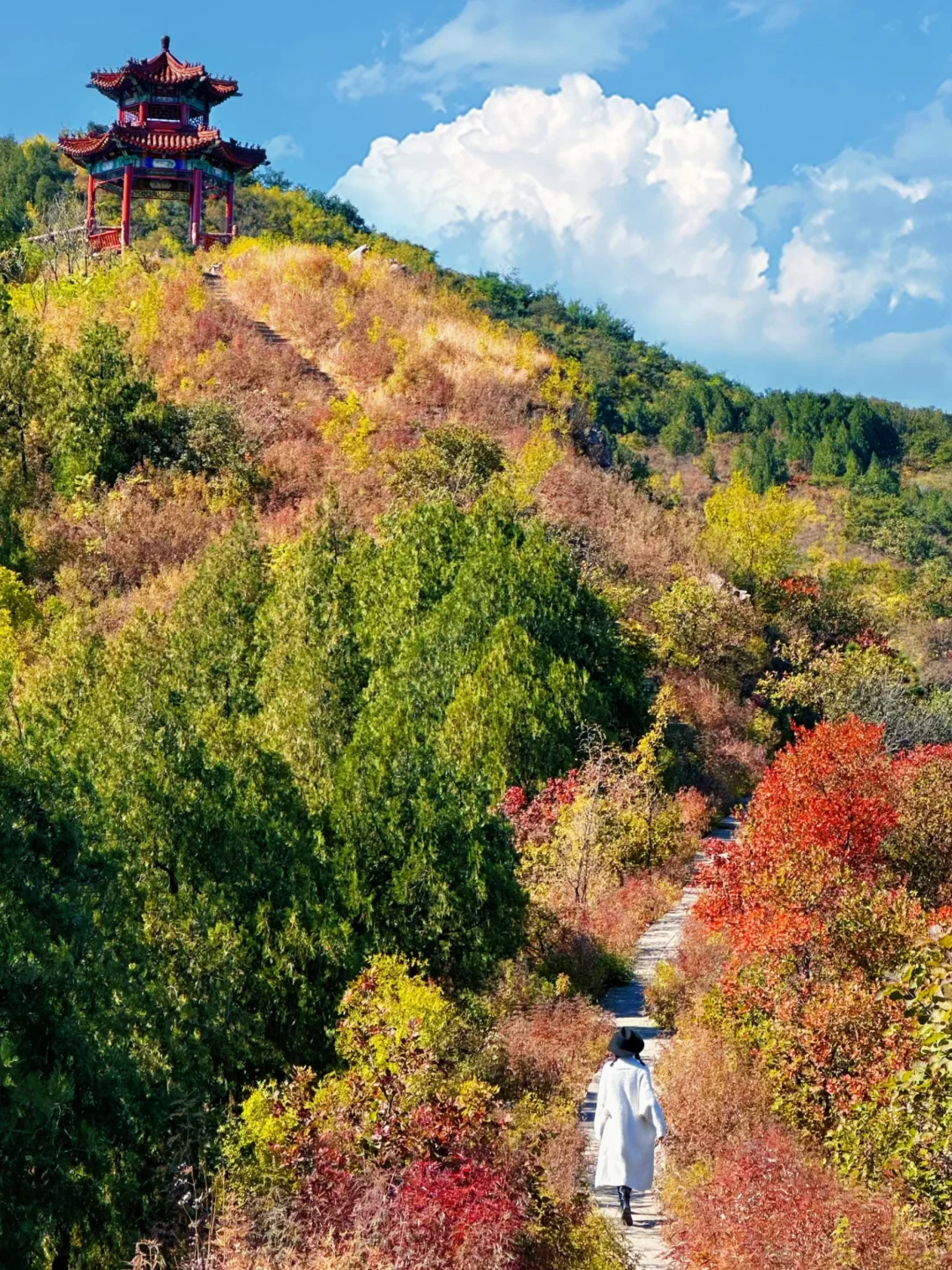 北京的秋天不这样玩儿等于白来！美到窒息！