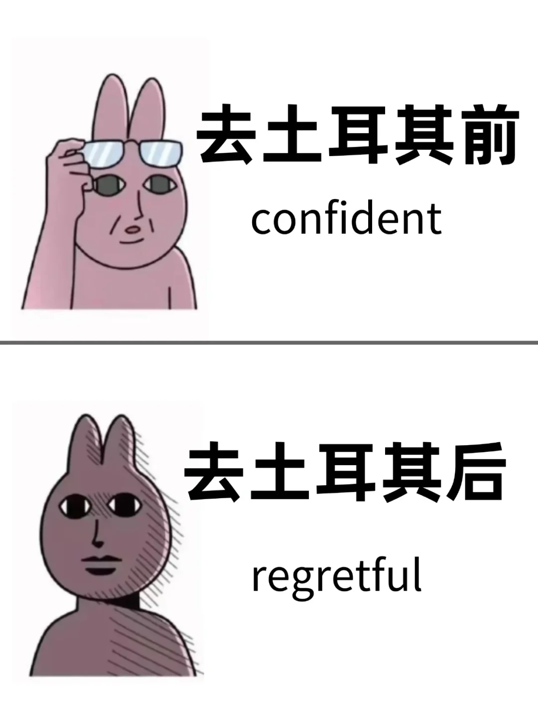 为什么我去土耳其旅游之前没刷到这一篇