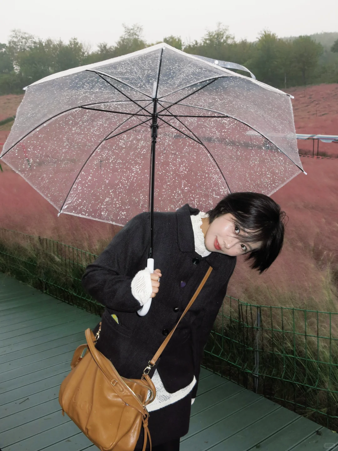 千万不要错过邯郸粉黛❗阴天都美到犯规❗❗