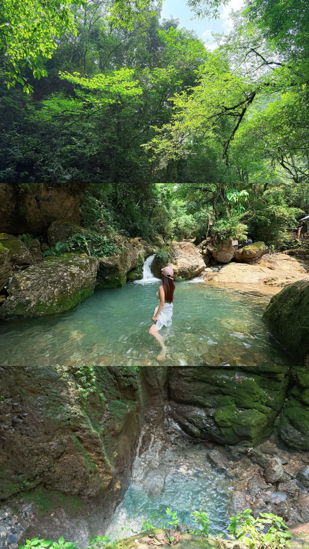 山林吸氧🍃青城后山一日徒步攻略