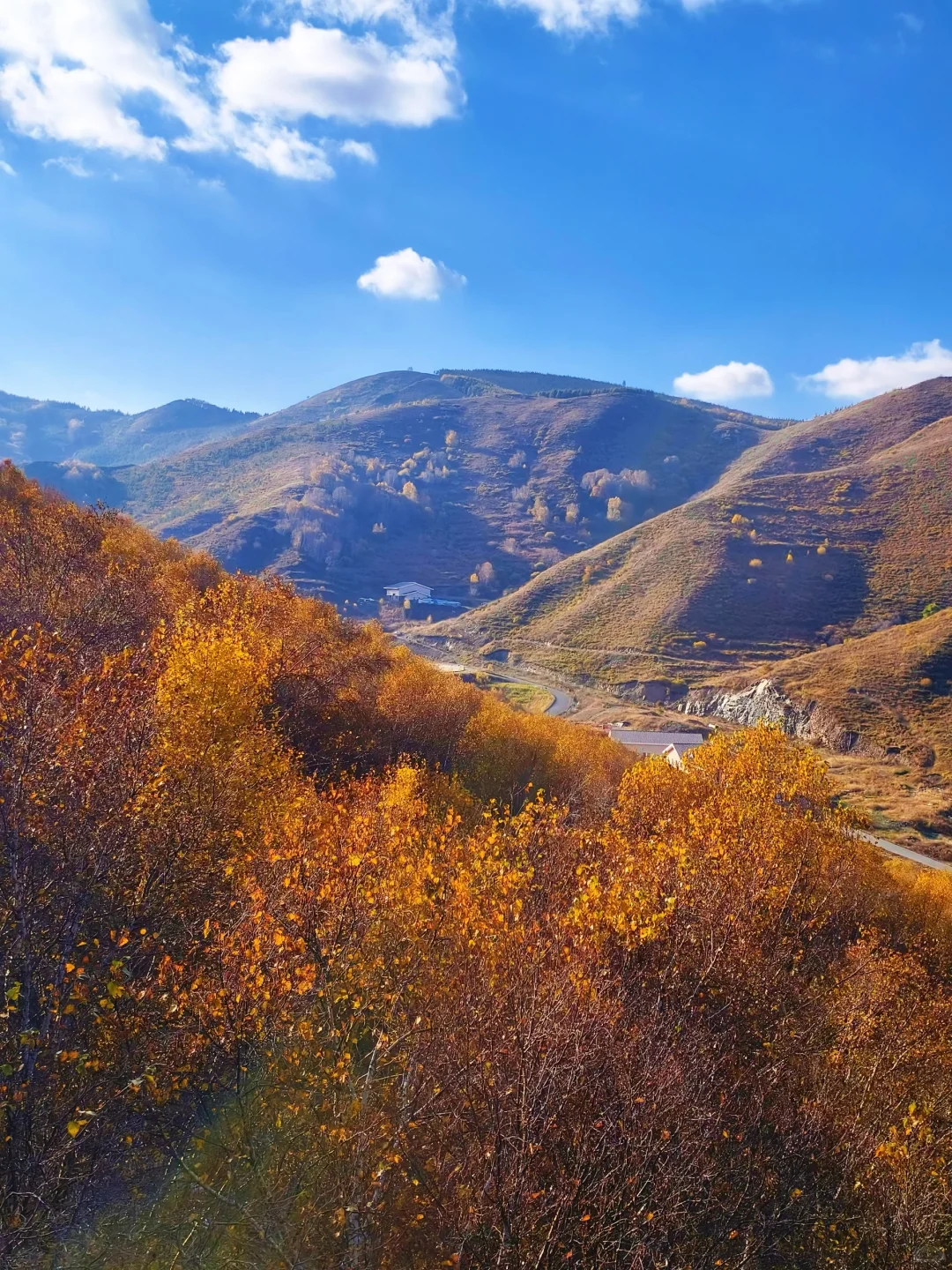 10.4崇礼太舞｜自驾2h追一场最绚烂的秋日