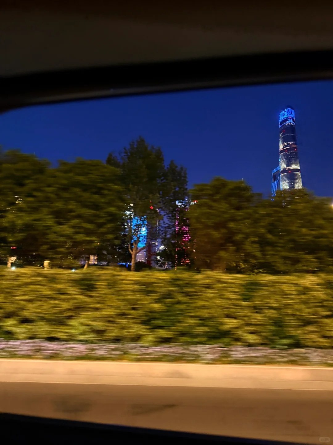 你失约的上海，我替你看了🏙️