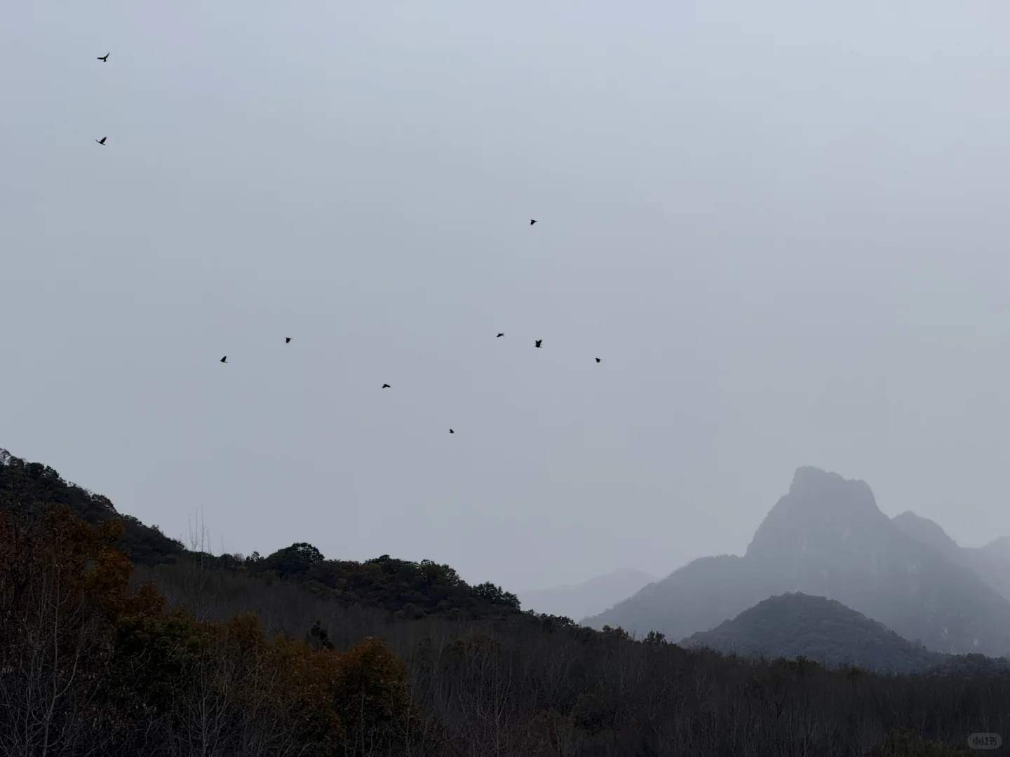 10.18 北京下雪啦❄️