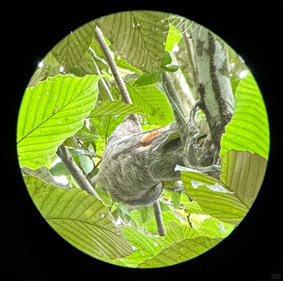 哥斯达黎加🇨🇷七天六晚攻略~
