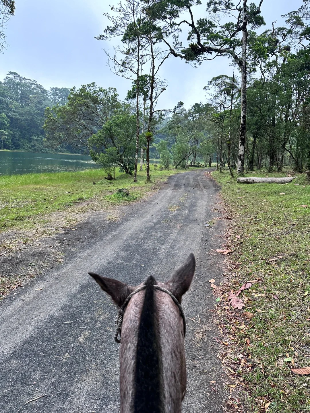 哥斯达黎加🇨🇷七天六晚攻略~