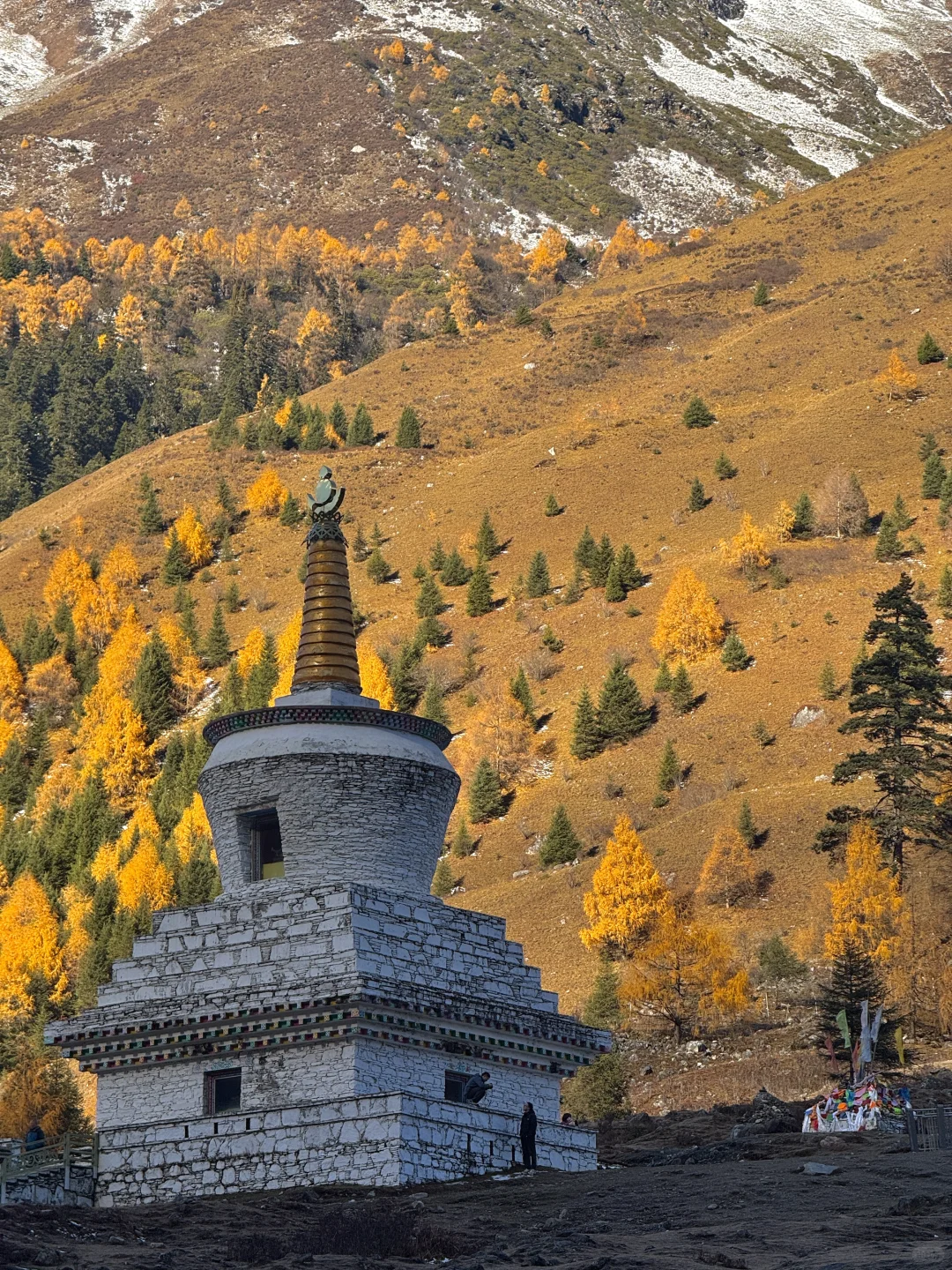 秋天的川西封神了！就是现在！错过再等一年