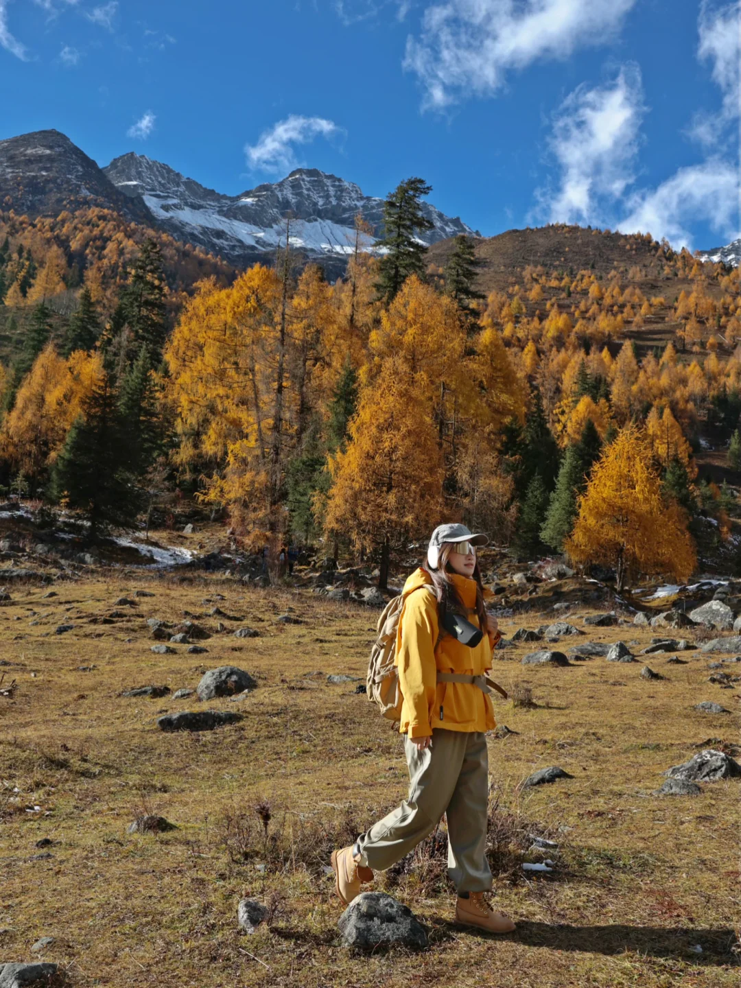 秋天的川西封神了！就是现在！错过再等一年