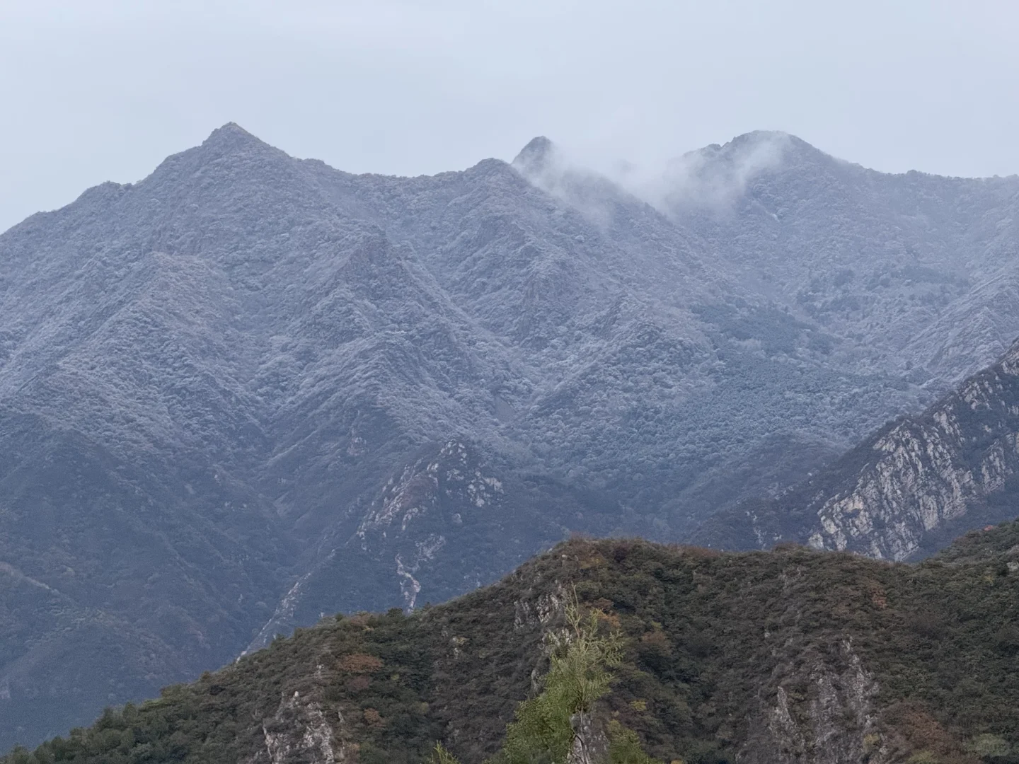 10.18 北京下雪啦❄️