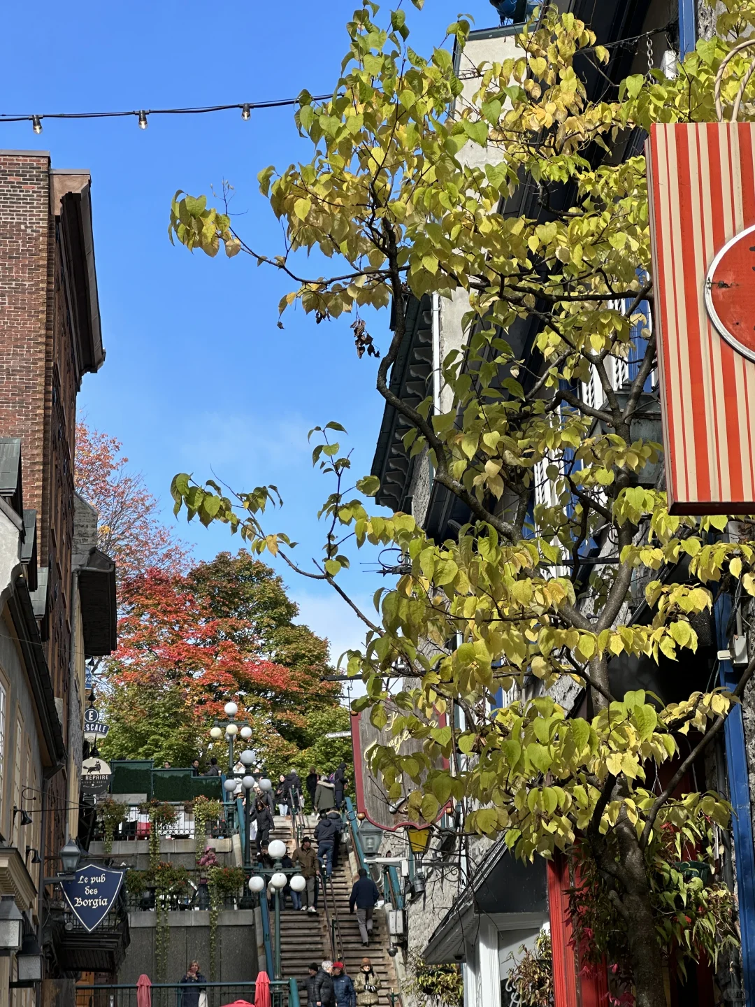 秋天的魁北克真的没有对手🍂重温鬼怪的季节