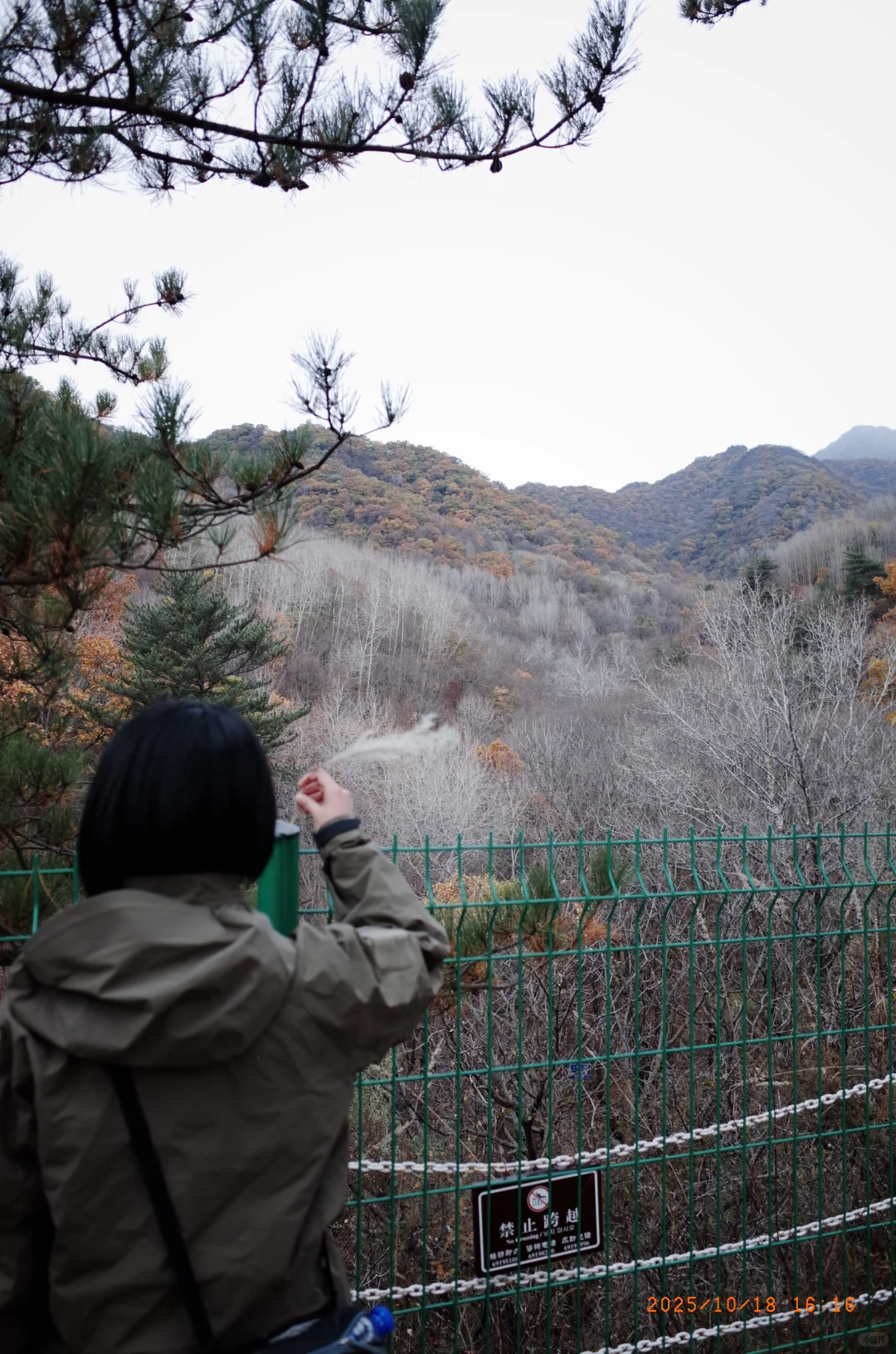 10.18 北京下雪啦❄️