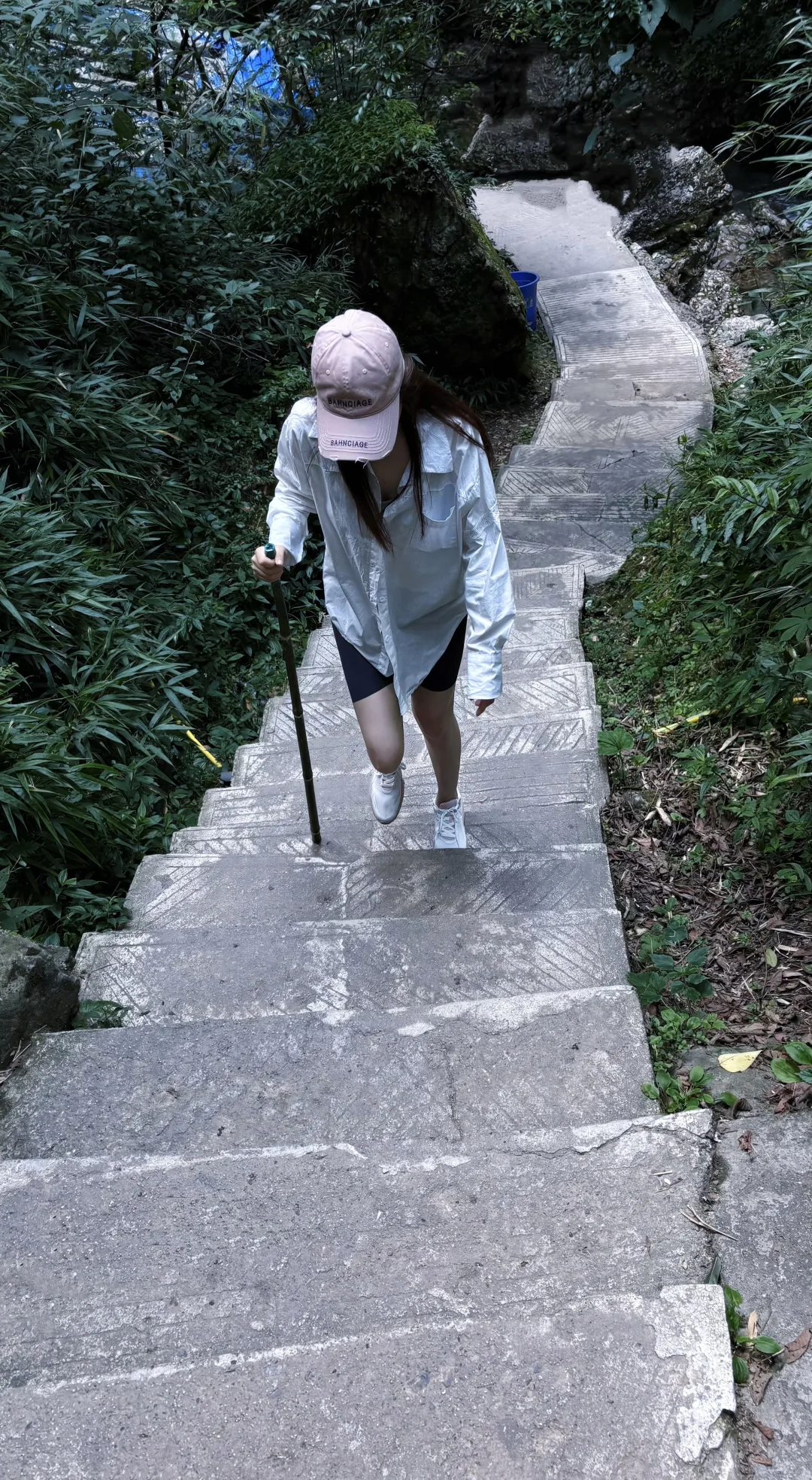 山林吸氧🍃青城后山一日徒步攻略